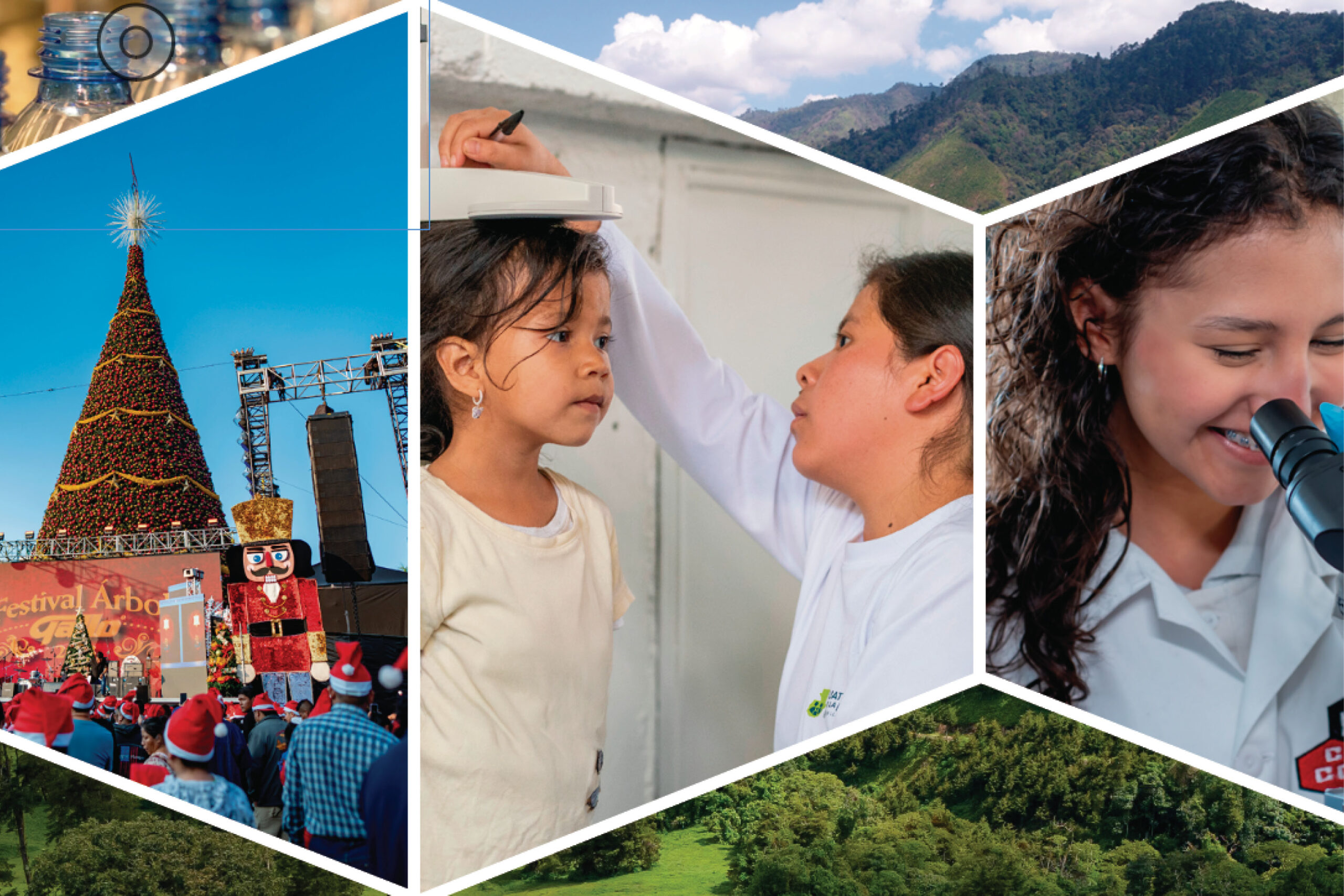 Castillo Hermanos: impulsa sostenibilidad y bienestar para las próximas generaciones